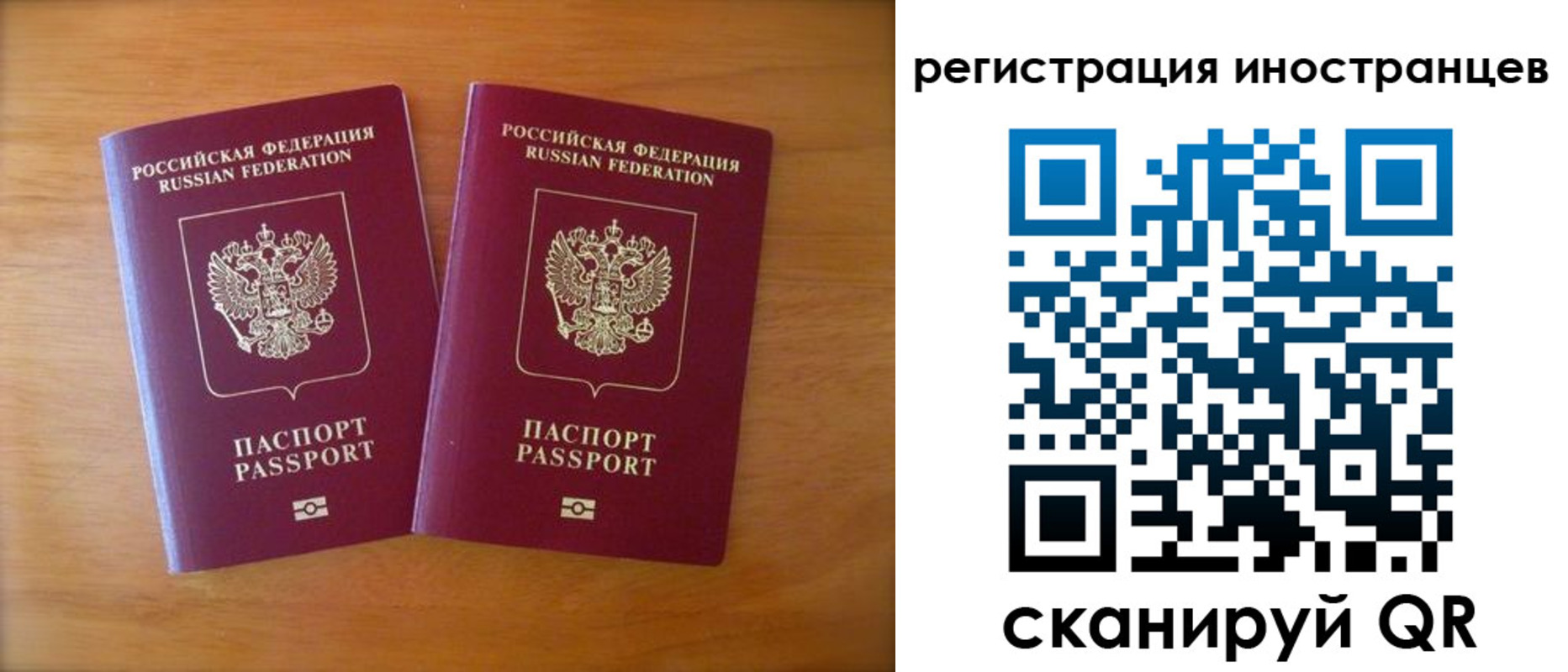 прописка поиск в Людиново