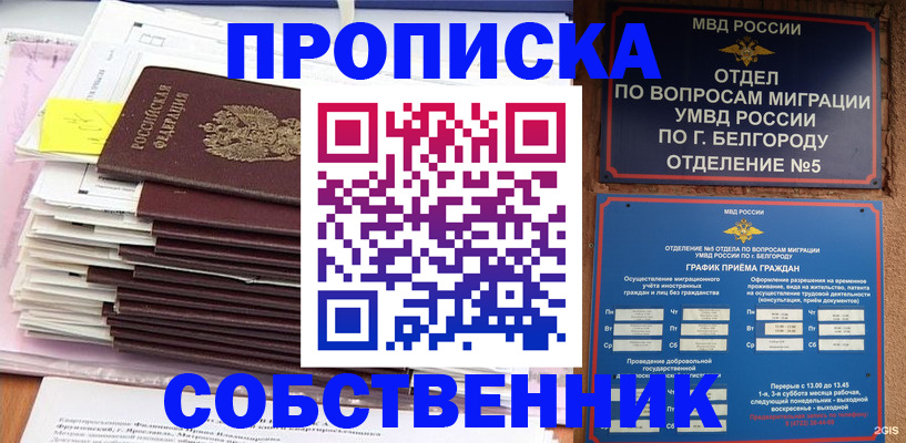 прописка законно в Людиново